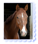 Christof Das Bild kommt noch