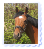 Hannes Das Bild kommt noch